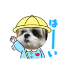 シーズー！ミンス モカ まい（個別スタンプ：16）