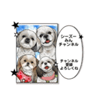 シーズー！ミンス モカ まい（個別スタンプ：19）