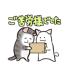 中高年ねこ いたわることば（個別スタンプ：2）