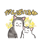 中高年ねこ いたわることば（個別スタンプ：7）