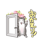 中高年ねこ いたわることば（個別スタンプ：17）