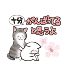 中高年ねこ いたわることば（個別スタンプ：21）