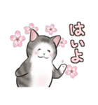 中高年ねこ いたわることば（個別スタンプ：27）