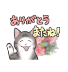 中高年ねこ いたわることば（個別スタンプ：40）