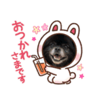 ポメチン♡おれっち（個別スタンプ：3）
