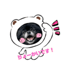 ポメチン♡おれっち（個別スタンプ：19）