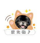 ポメチン♡おれっち（個別スタンプ：31）