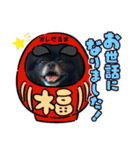 ポメチン♡おれっち（個別スタンプ：38）