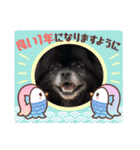 ポメチン♡おれっち（個別スタンプ：40）