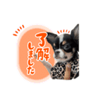 こてつ Part2（個別スタンプ：3）