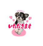 こてつ Part2（個別スタンプ：4）