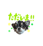 こてつ Part2（個別スタンプ：5）