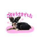 こてつ Part2（個別スタンプ：7）