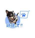 こてつ Part2（個別スタンプ：9）