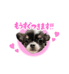 こてつ Part2（個別スタンプ：15）