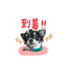 こてつ Part2（個別スタンプ：16）