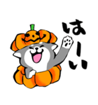 ふでしば26【秋、ハロウィン】筆文字（個別スタンプ：5）