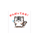 バーコードねこ（個別スタンプ：4）