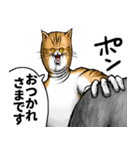 どうぶつが大好き01_pro_ver3敬語（個別スタンプ：40）