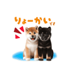 日常会話 柴犬と黒柴スタンプ（個別スタンプ：2）