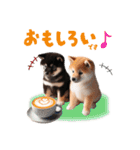 日常会話 柴犬と黒柴スタンプ（個別スタンプ：23）