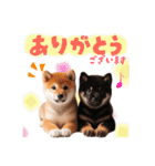 日常会話 柴犬と黒柴スタンプ（個別スタンプ：36）