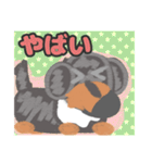 【絵本風編1】シルバーダップルのダックス（個別スタンプ：4）