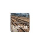 鉄道日常会話スタンプ①（個別スタンプ：4）