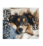 かわいい犬の待ち合わせ(連絡・報告・外出)（個別スタンプ：1）