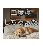 かわいい犬の待ち合わせ(連絡・報告・外出)（個別スタンプ：2）