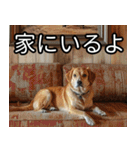 かわいい犬の待ち合わせ(連絡・報告・外出)（個別スタンプ：3）