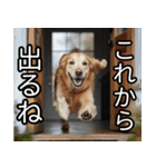 かわいい犬の待ち合わせ(連絡・報告・外出)（個別スタンプ：5）