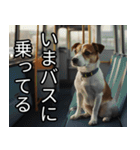 かわいい犬の待ち合わせ(連絡・報告・外出)（個別スタンプ：10）