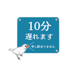 遅刻する文鳥スタンプ（個別スタンプ：10）