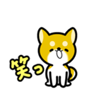 大すき柴犬（個別スタンプ：2）