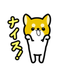 大すき柴犬（個別スタンプ：4）