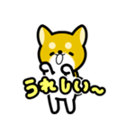 大すき柴犬（個別スタンプ：5）