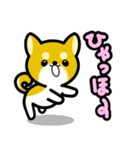 大すき柴犬（個別スタンプ：8）