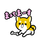 大すき柴犬（個別スタンプ：9）