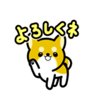 大すき柴犬（個別スタンプ：10）