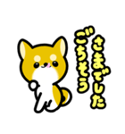 大すき柴犬（個別スタンプ：15）