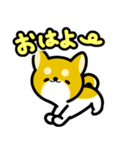 大すき柴犬（個別スタンプ：19）