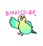 とにかくセキセイインコ（個別スタンプ：1）