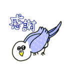 とにかくセキセイインコ（個別スタンプ：7）