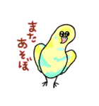 とにかくセキセイインコ（個別スタンプ：16）