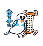 とにかくセキセイインコ（個別スタンプ：17）