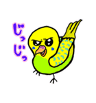 とにかくセキセイインコ（個別スタンプ：23）