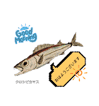 深海魚沼にハマったさんコウガのお魚図鑑（個別スタンプ：1）