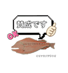深海魚沼にハマったさんコウガのお魚図鑑（個別スタンプ：7）