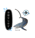 深海魚沼にハマったさんコウガのお魚図鑑（個別スタンプ：8）